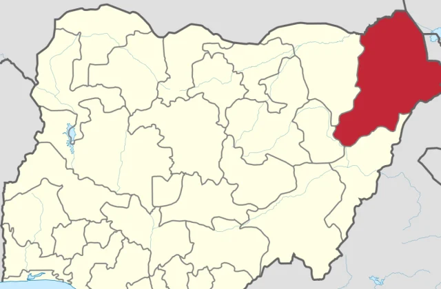 Nigerian Army Faces Fresh Battles Against Militants in Borno