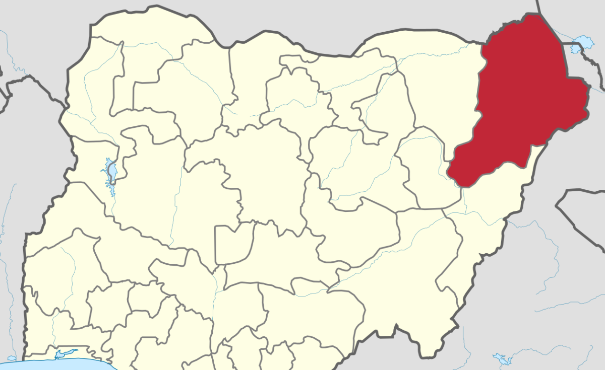 Nigerian Army in Renewed Clashes With Militants in Borno