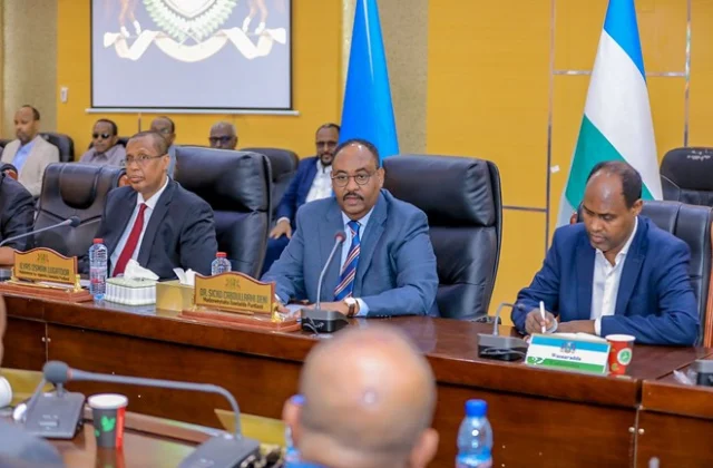 Puntland State’s Lessons: Leadership, Democratization and Alliances in Somalia’s Changing Politics