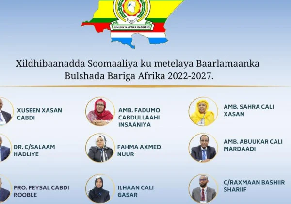 Somalia elects first representatives to EALA, boosting East African integration