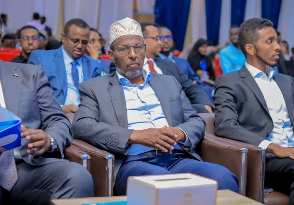 Somalia forum spotlights energy access and renewable transition progress
