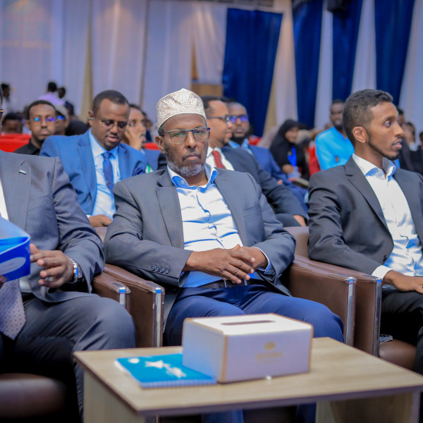 Somalia forum spotlights energy access and renewable transition progress