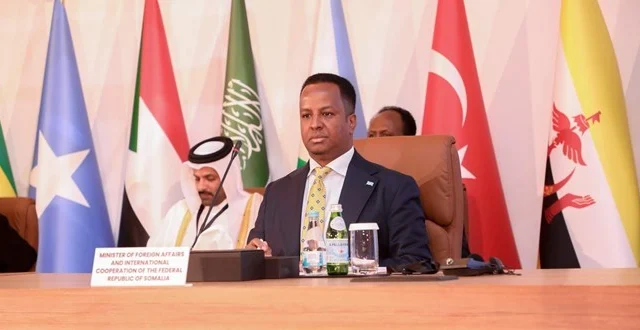 Somalia welcomes Hamas-Israel deal struck during talks in Egypt