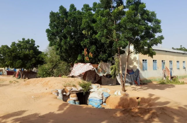 Sudan’s RSF Announces Complete Takeover of El-Fasher, the Final Holdout