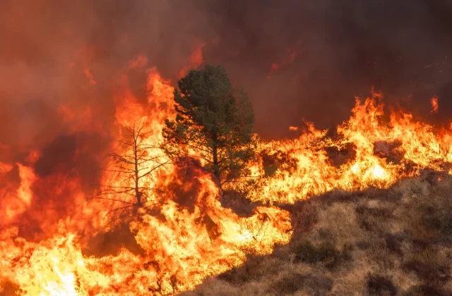 UN chief warns global heating threatens to push Earth past tipping point