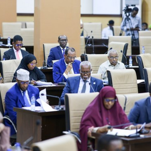 Why Somalias Senate Is Undermining Federal Unity and Governance