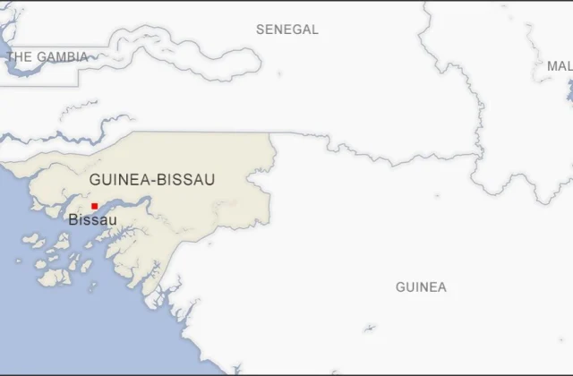 Guinea-Bissau’s New Transitional President Takes Oath of Office