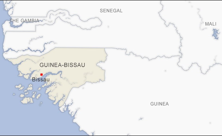 Guinea-Bissau's New Transitional President Takes Oath of Office