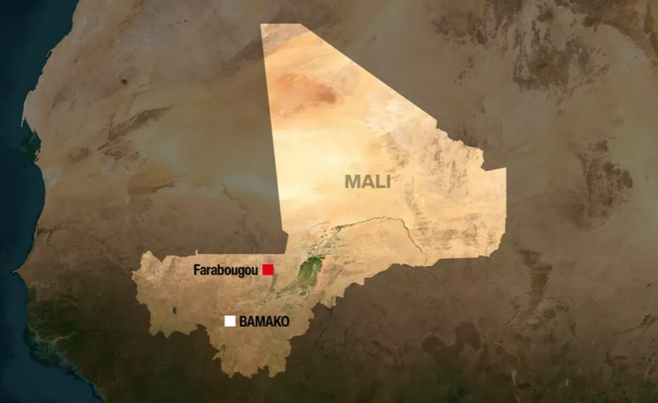 Malian TikToker Executed by Militants for Backing the Army