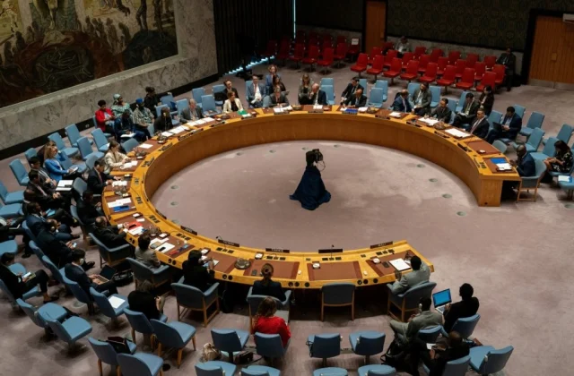 Merz Backs Proposal for Two Permanent African Seats on UN Security Council