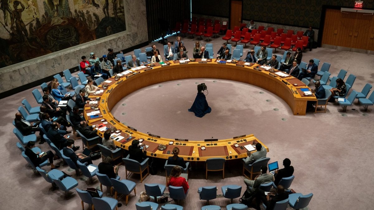 Merz Backs Proposal for Two Permanent African Seats on UN Security Council