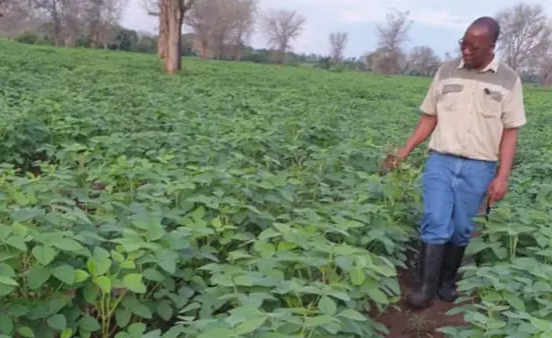 Mutharika Warns Malawi Is Unprepared for Planting Season Amid Crisis