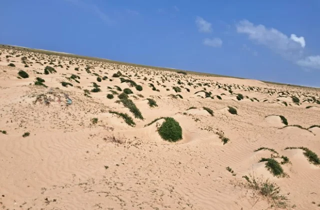 Satellite Launch Sites’ Environmental, Health, and Social Impacts: Bashaqle, Somalia Case Study