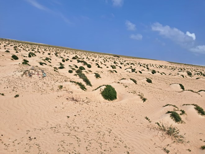 The effect of satellite launch sites on the environment, human health, and society: The Case of Bashaqle, Somalia