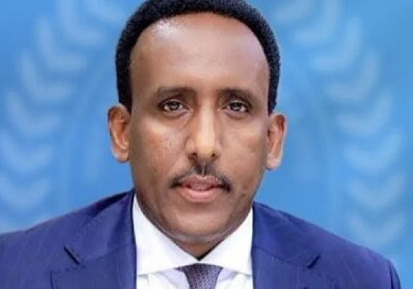 Somalia Confirms Data Breach Affecting Newly Launched E-TAS System