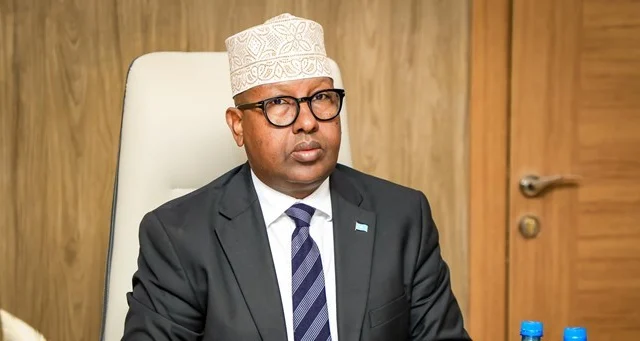 Somalia reports zero ISIS entries since e-visa launch amid regional backlash