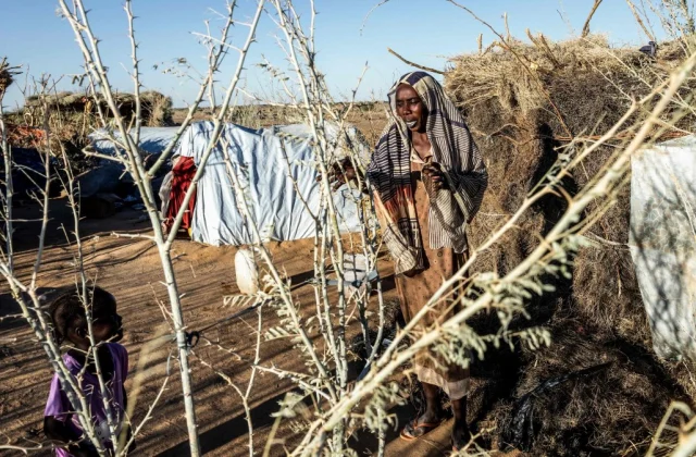 Sudan Army Gains Ground Against RSF in Kordofan Region