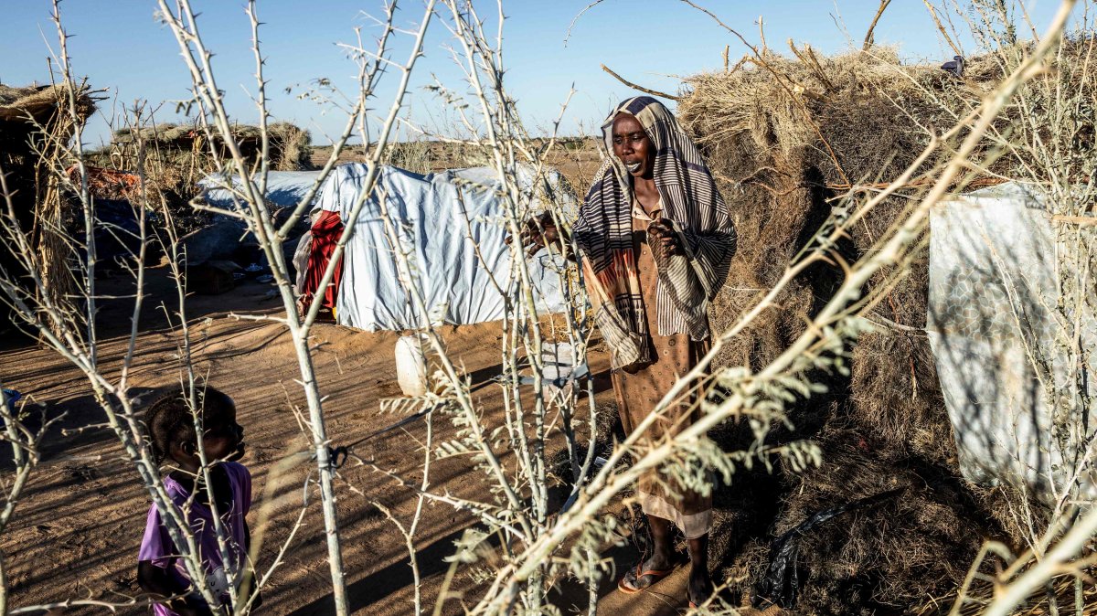 Sudan army makes advances on RSF as Kordofan