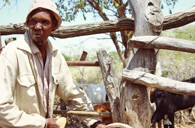 Botswana Issues Alert Over Foot-and-Mouth Disease Outbreak in South Africa