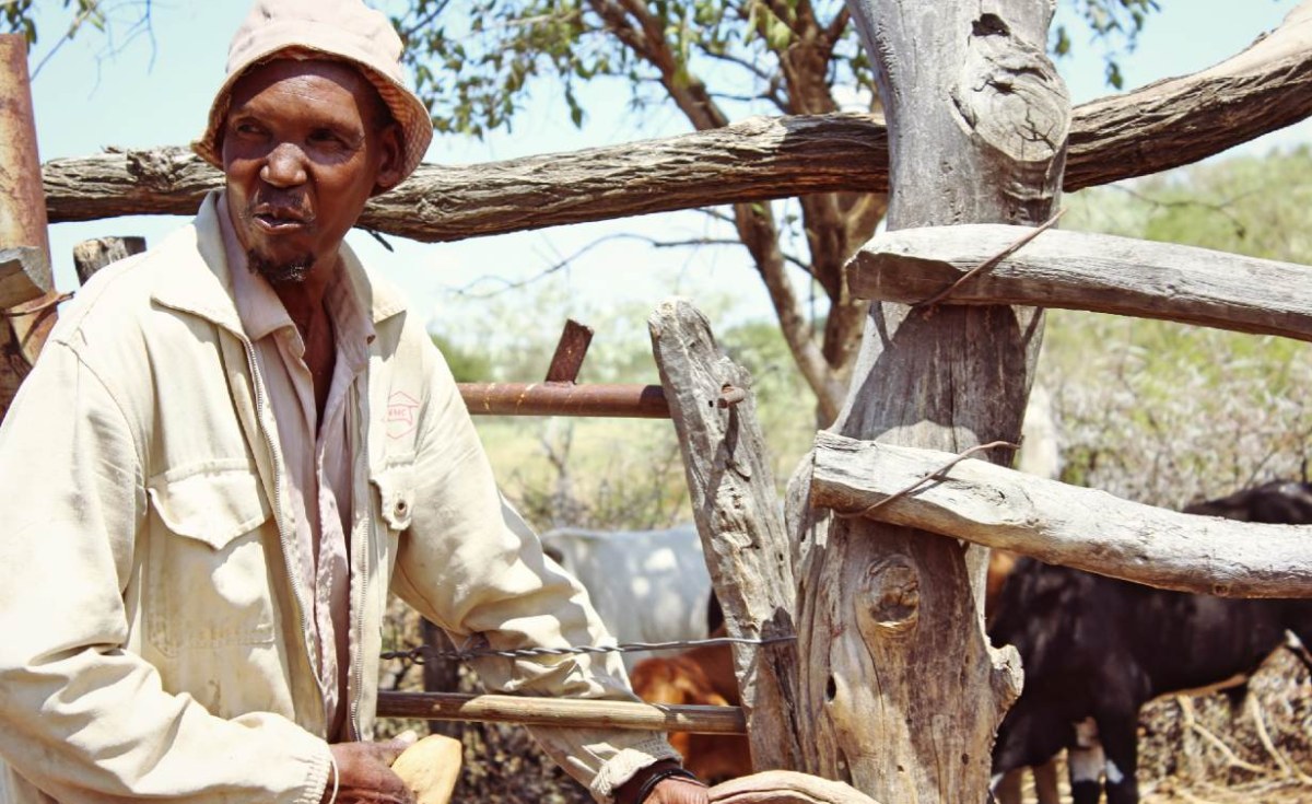 Botswana Issues Alert Over Foot-and-Mouth Disease Outbreak in South Africa