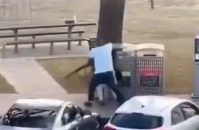 Brave bystander tackles and disarms gunman on Bondi Beach