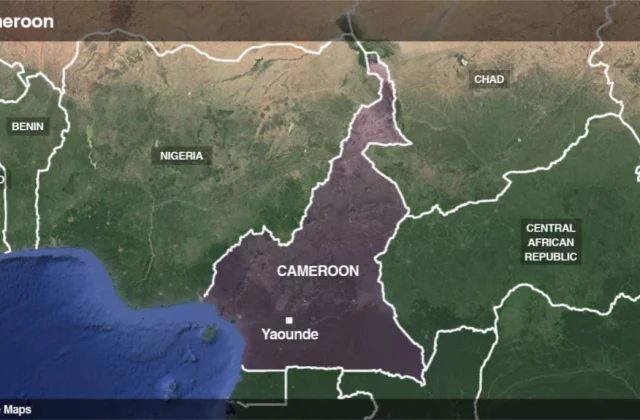 Cameroon’s Anicet Ekane, Opposition Leader, Passes Away in Custody