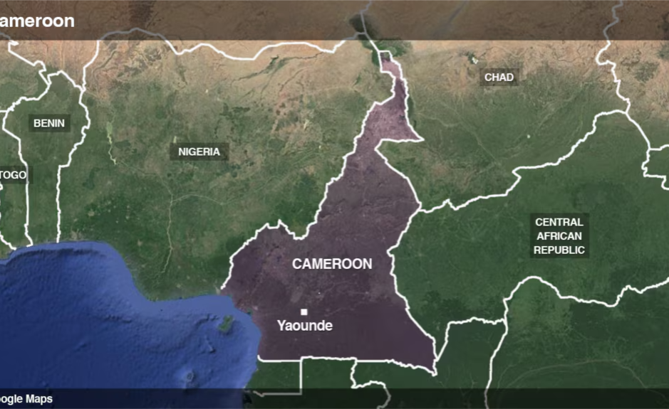 Cameroon Opposition Leader Anicet Ekane Dies in Detention