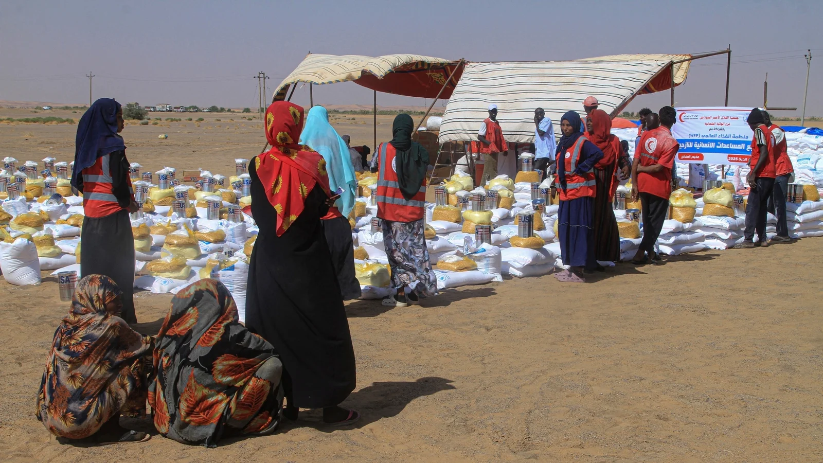 Dozens killed in drone strikes on Sudan kindergarten and hospital, official says