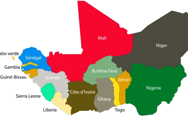 ECOWAS Issues State of Emergency for West Africa