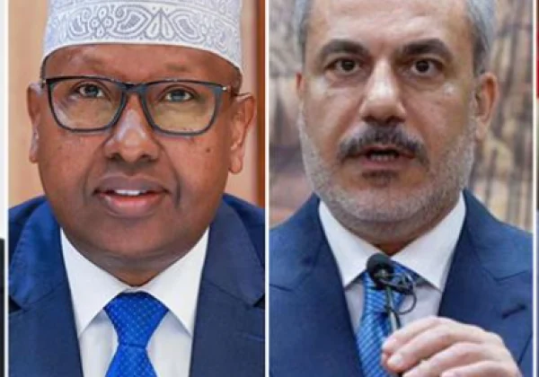 Egypt, Turkey, Djibouti Support Somalia, Condemn Israel’s Recognition of North Western State of Somalia