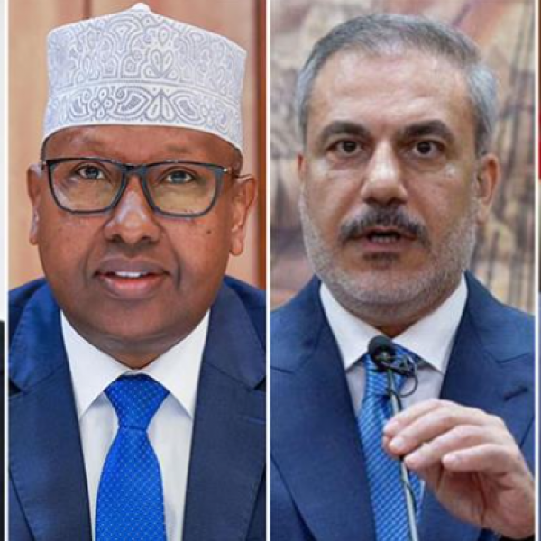 Egypt, Turkey, Djibouti Support Somalia, Condemn Israel’s Recognition of North Western State of Somalia