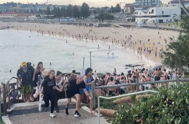 Father-son gunmen kill at least 15 at Hanukkah event on Sydney’s Bondi Beach