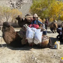 New Food Security Report Highlights Growing Hunger Crisis in Afghanistan This Winter