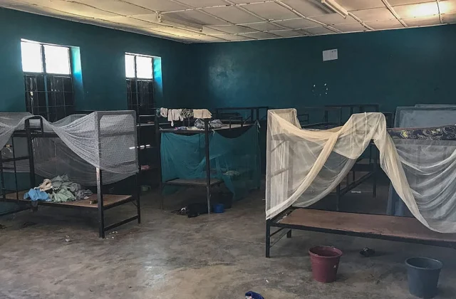 Authorities say more kidnapped Nigerian students have been rescued