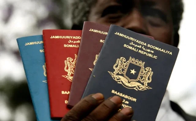 Security flaw in Somalia’s new e-visa risks thousands’ personal data
