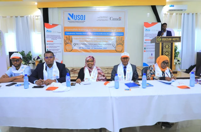 Somali Journalists Union Joins 16-Day Campaign to Improve Gender-Based Violence Reporting