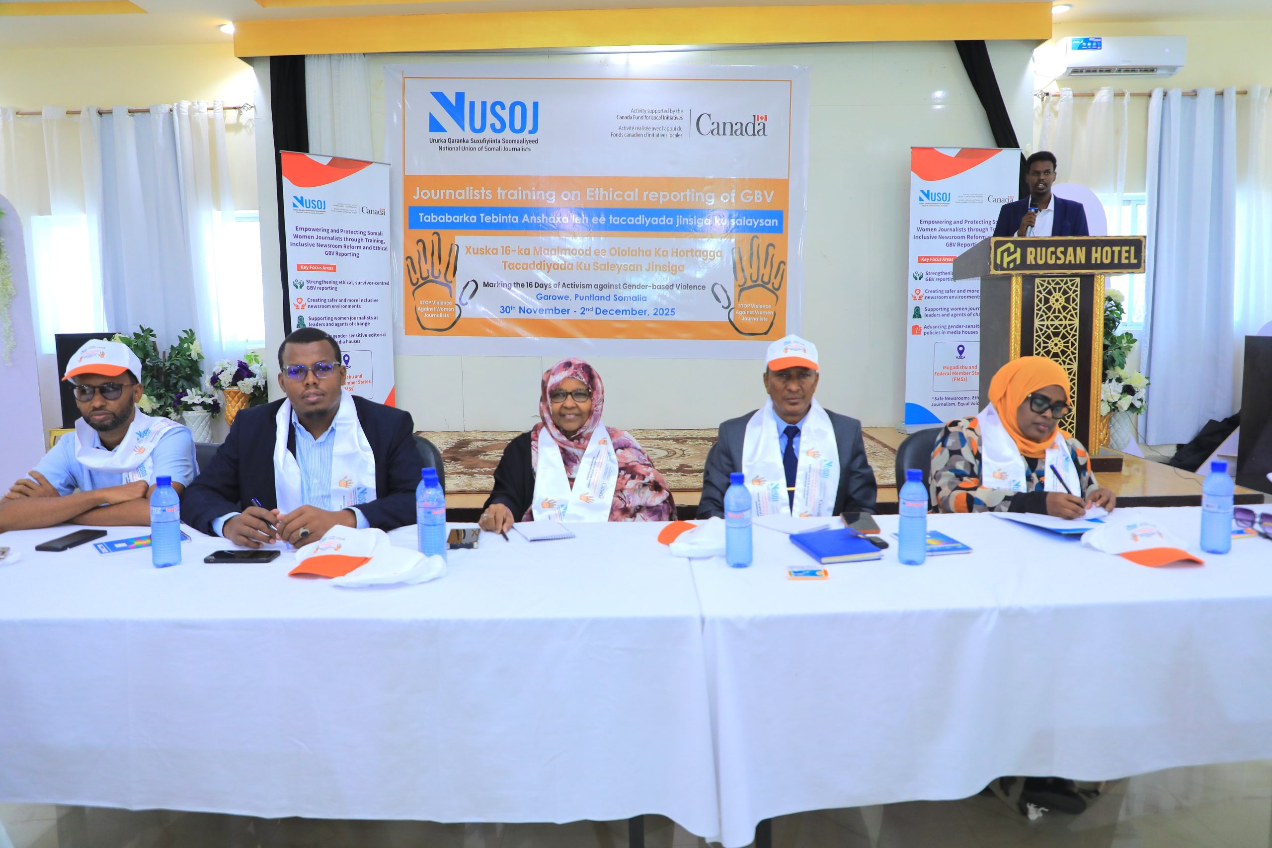 Somali Journalists Union marks 16-day campaign to boost media reporting on GBV - Hiiraan Online
