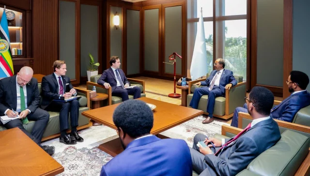 Somali President Meets Swedish Minister Amid Growing Scrutiny of Deportations