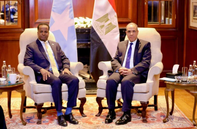 Somalia and Egypt commit to deepening security and development cooperation