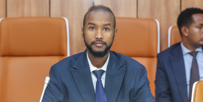 Somalia boosts health surveillance after Marburg virus cases in Ethiopia