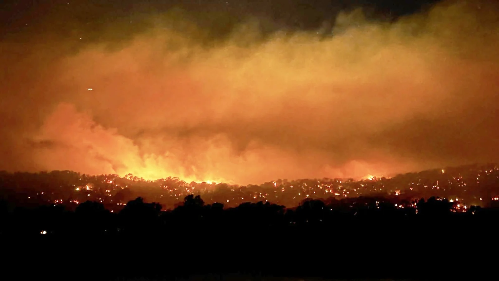 Australia issues disaster declaration as wildfires rage across the country
