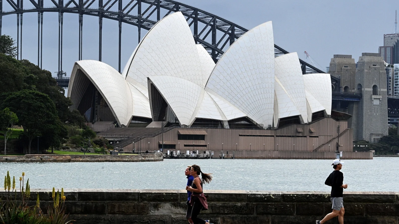 Australian 12-year-old dies after injuries sustained in shark attack