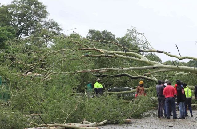 Devastating Floods Hit Southern Region, Death Toll Rises to 19