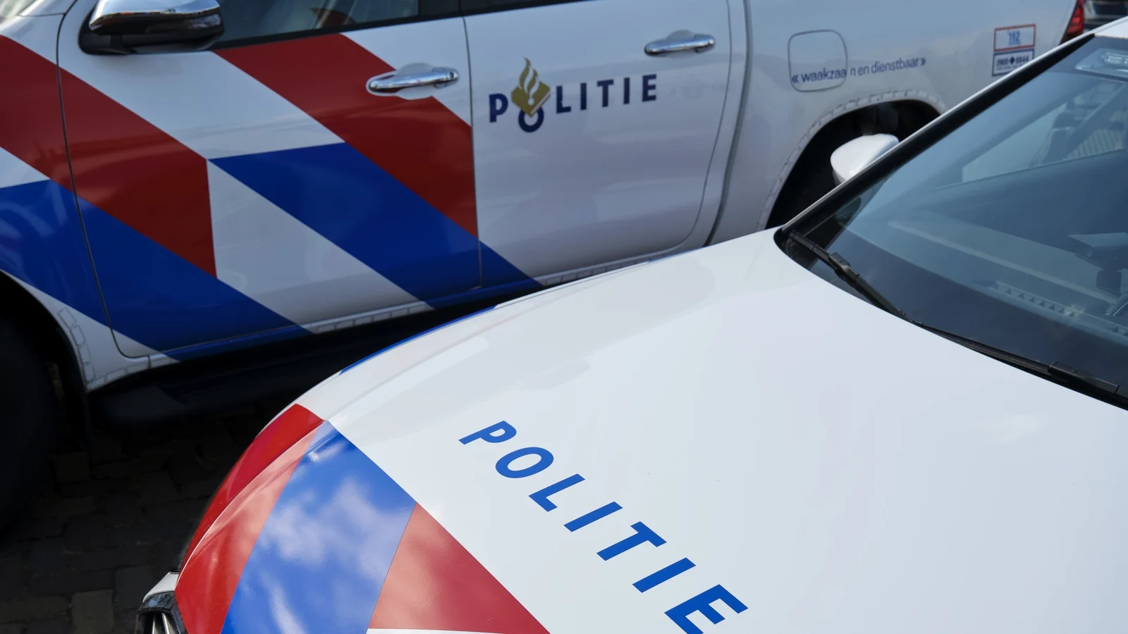 Dutch police detain teens over death after snowball dispute