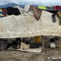 Families Escaping DR Congo to Burundi Struggle with Hunger, Cold, and Disrupted Education