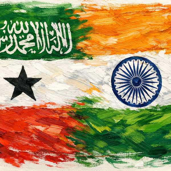 Global Order Under Strain: Perspectives from North Western State of Somalia and India