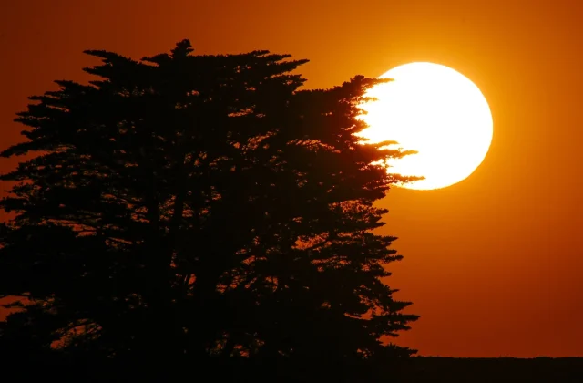 Health alerts issued as extreme heatwave scorches southern Australia