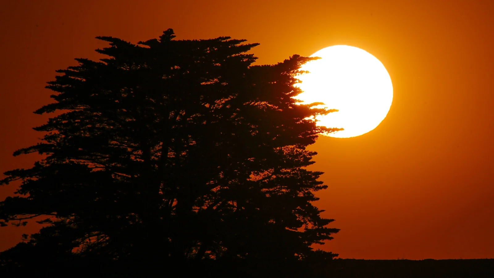 Health alerts issued as extreme heatwave scorches southern Australia