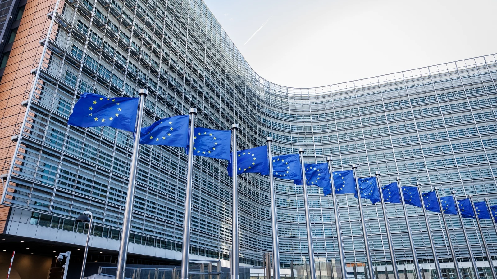 Minister says Icelandic EU membership vote could be big moment for Ireland