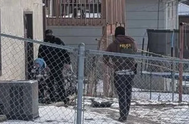 ICE takes Minnesota five-year-old into custody, school officials report